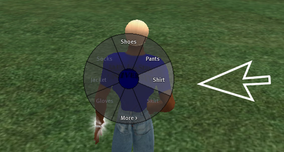 Wiki guides10c.jpg